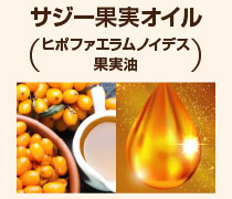 サジー果実オイル（ヒポファエラムノイデス果実油）：200種類を超える栄養素