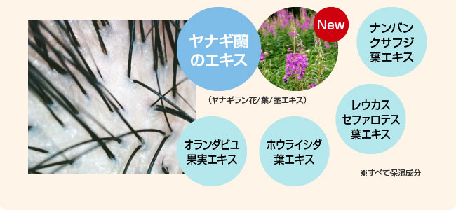 厳選した５種類の植物由来のスカルプケア成分