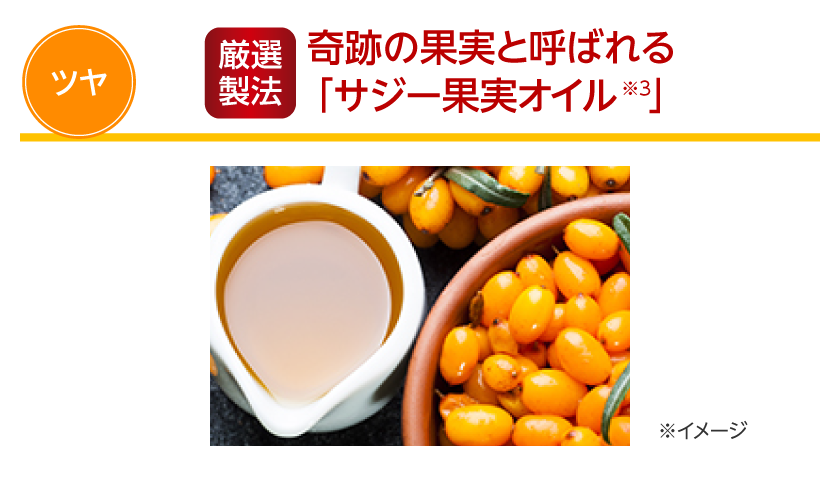奇跡の果実と呼ばれる「サジー果実オイル」(ツヤ)