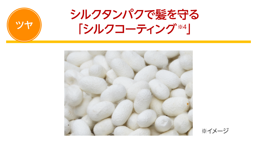 シルクタンパクで髪を守る「シルクコーティング」(ツヤ)