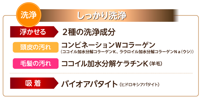 FIRST CLASS HAIR CONTROL SHAMPOO 500mL - G.H.S Official Site