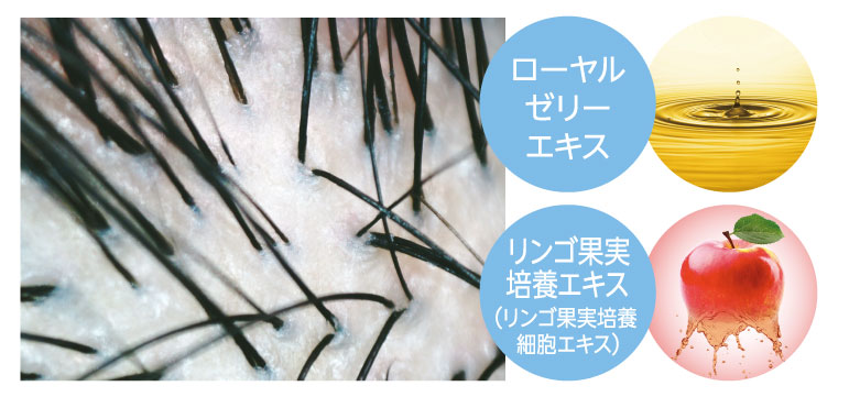 ローヤルゼリーエキス