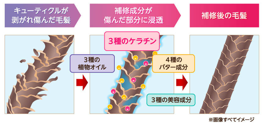 厳選した成分を配合して、傷んだ毛髪をしっかり補修